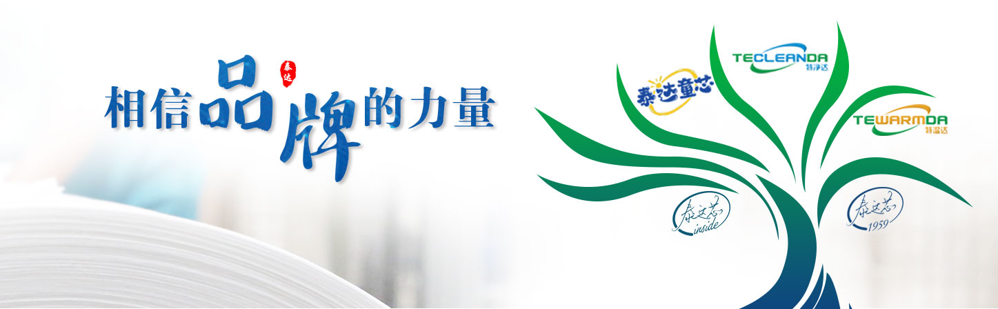 口罩系列-天津泰达清洁质料有限公司